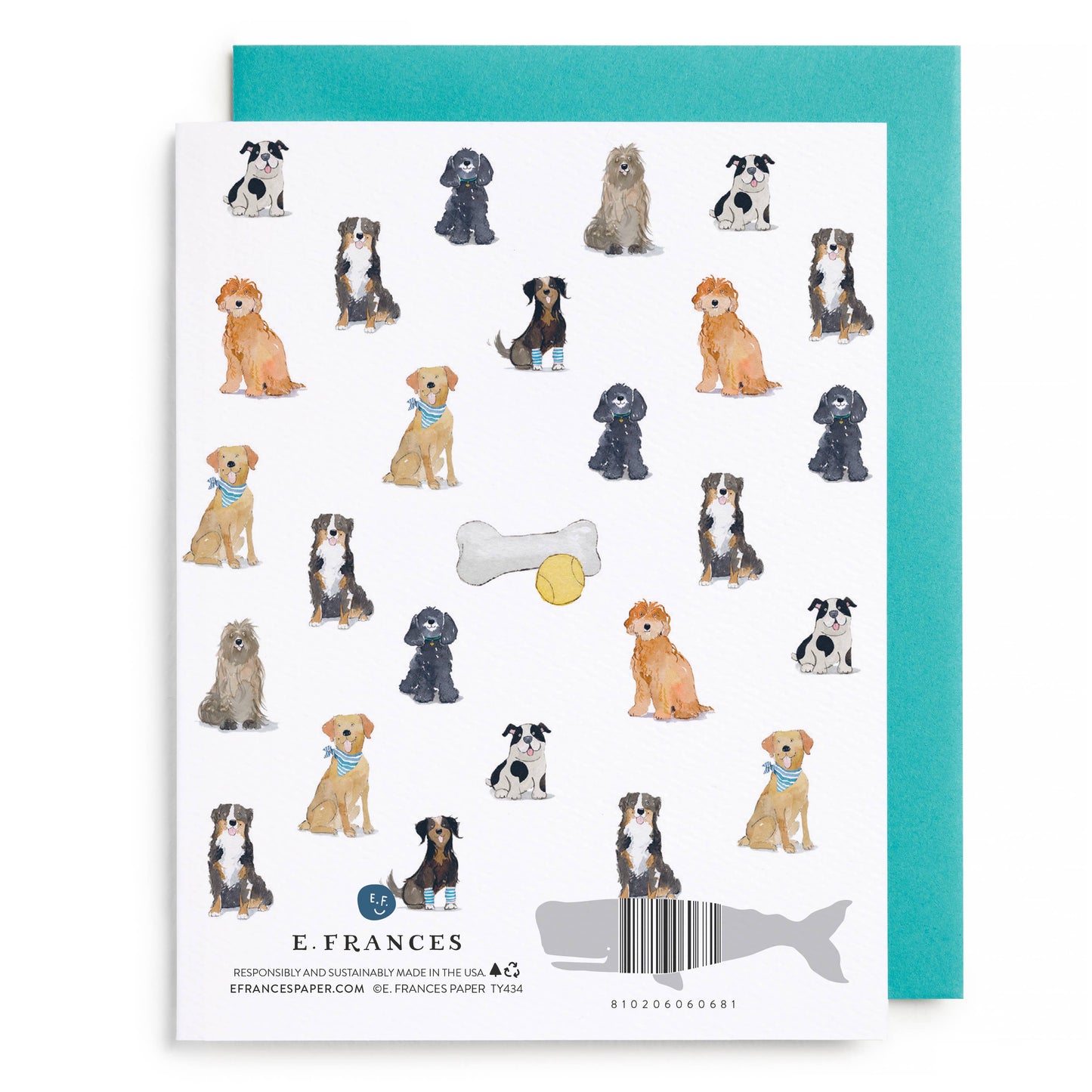 Doggy Thank You Boxed Card Set
