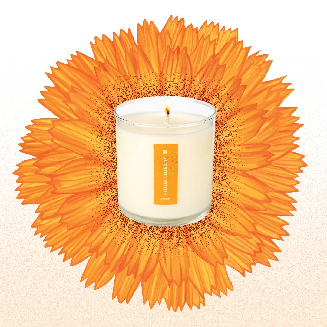 Catalan Calendula - Plant the Box Candle - 9oz.