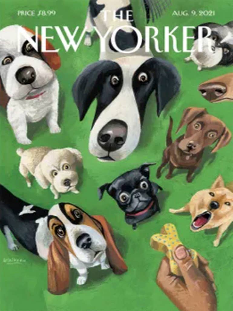 Summer Treat - 500 Piece Jigsaw Puzzle