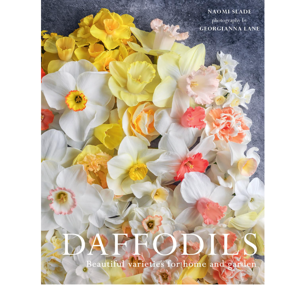 Daffodils Book