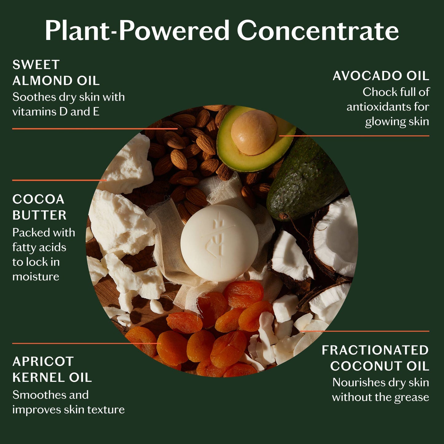 Daily Stone Starter Kit | Deep Moisturizing Lotion Bar