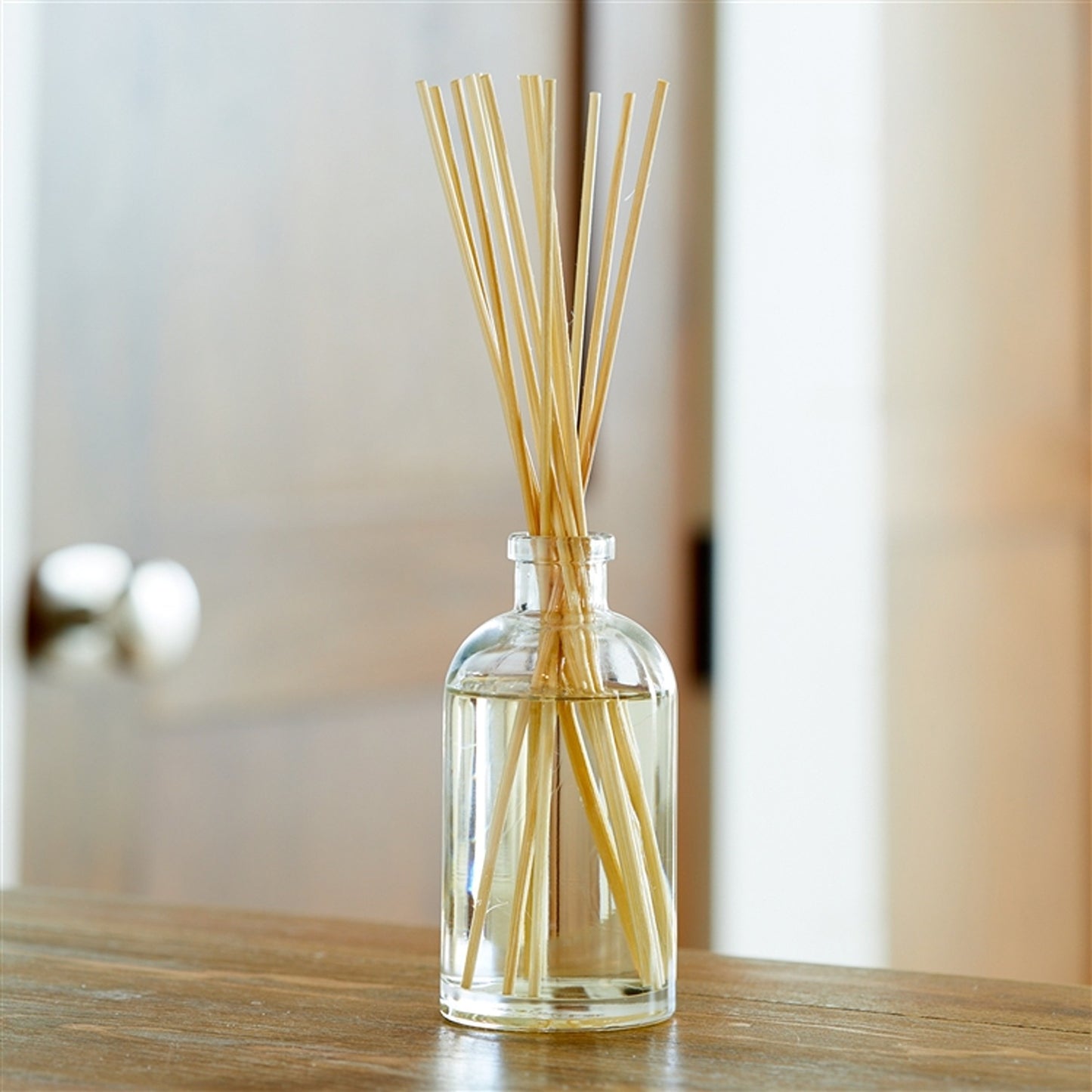Cashmere Diffuser 6oz Ctn. 6