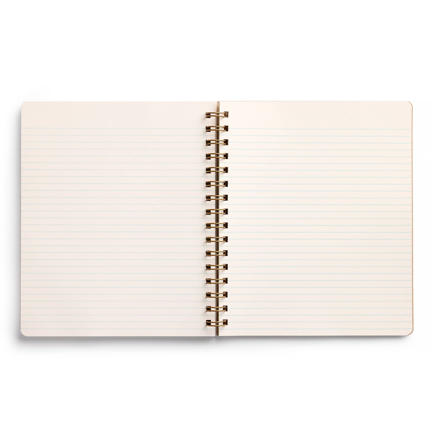 Orange Grove Notebook Journal