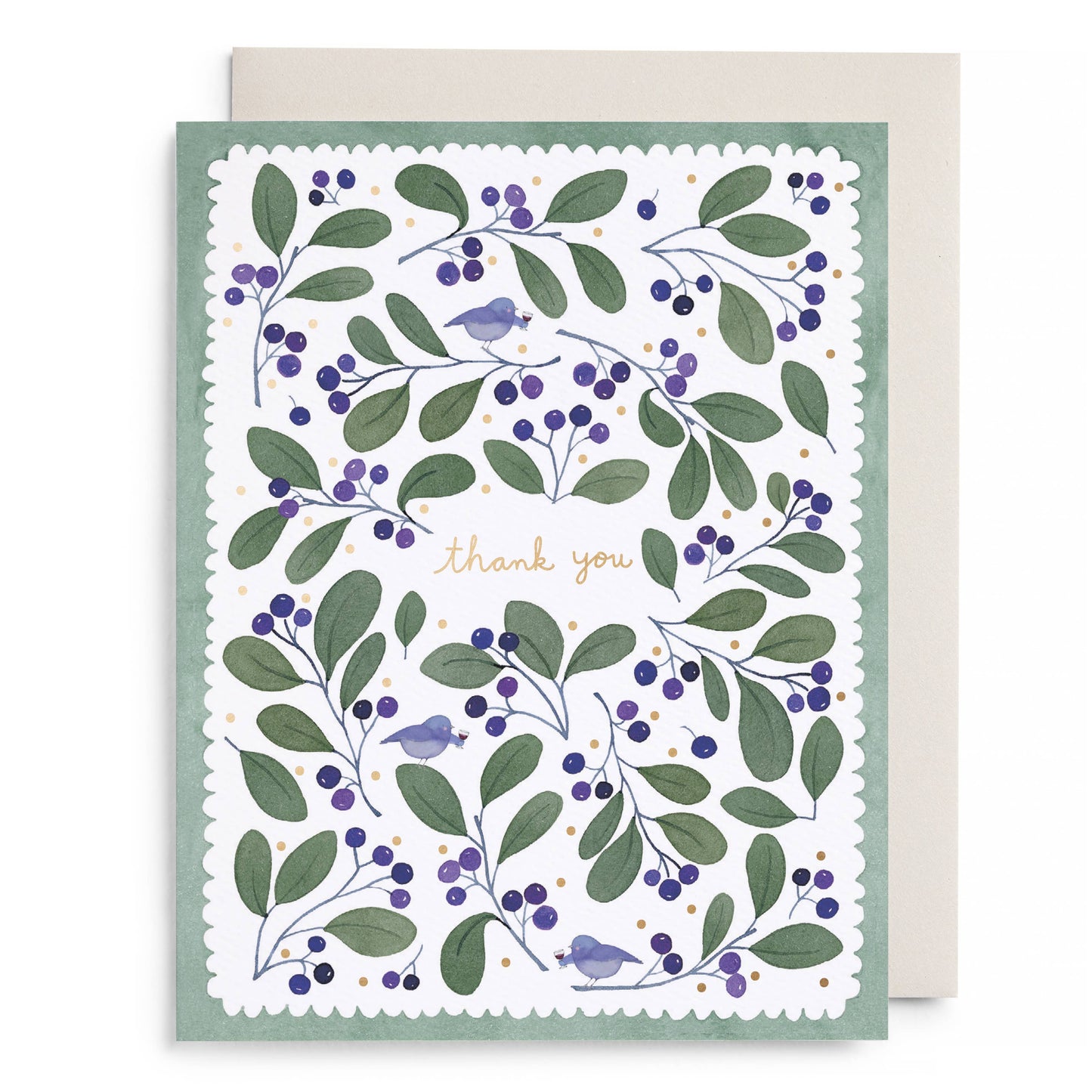 Chirps and Cheers Boxed Card Set
