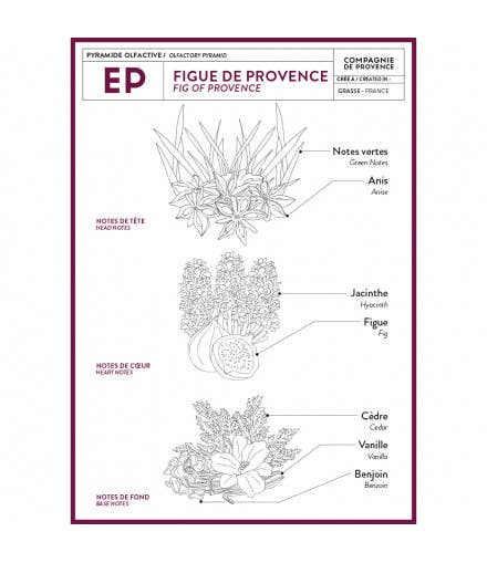 Fig of Provence Liquid Marseille Soap 16.7oz