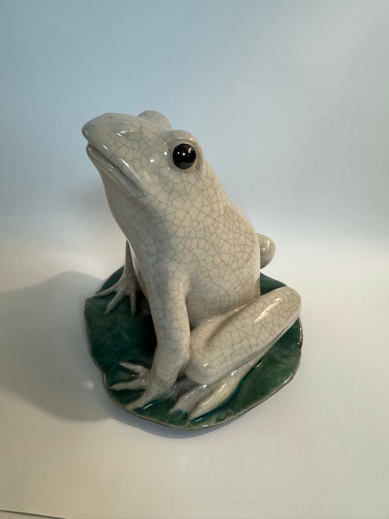 White Crackle Frog