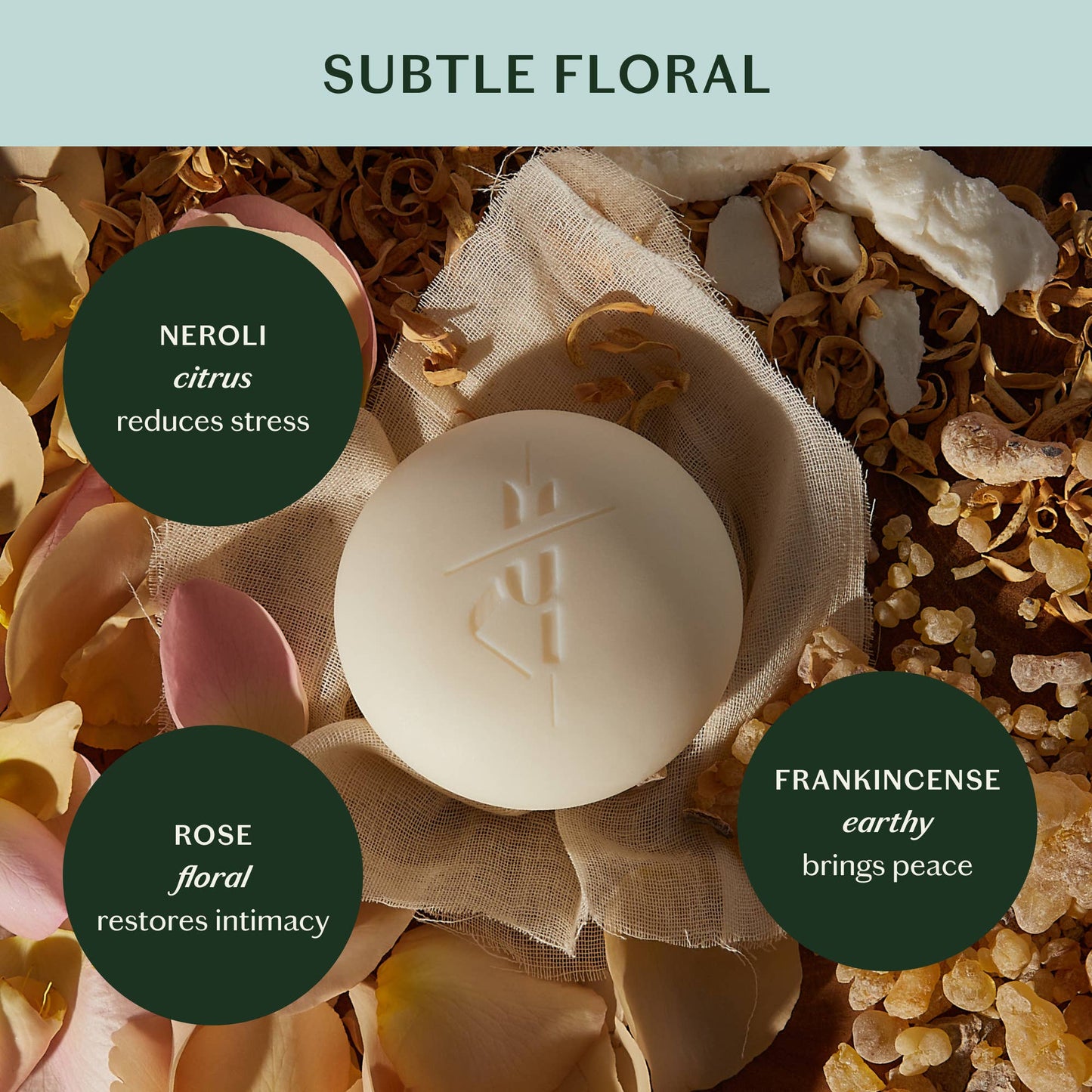 Daily Stone Starter Kit | Deep Moisturizing Lotion Bar