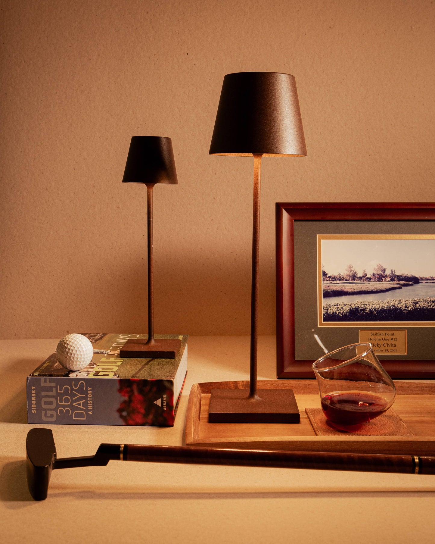 Poldina Pro Cordless LED Lamp