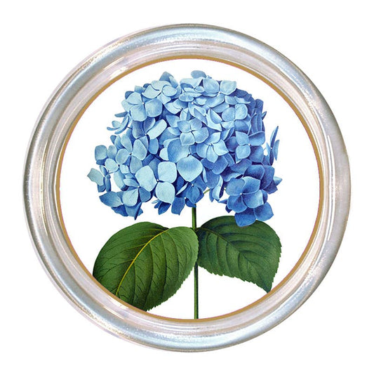 Niko Blue Hydrangea Glass Coaster
