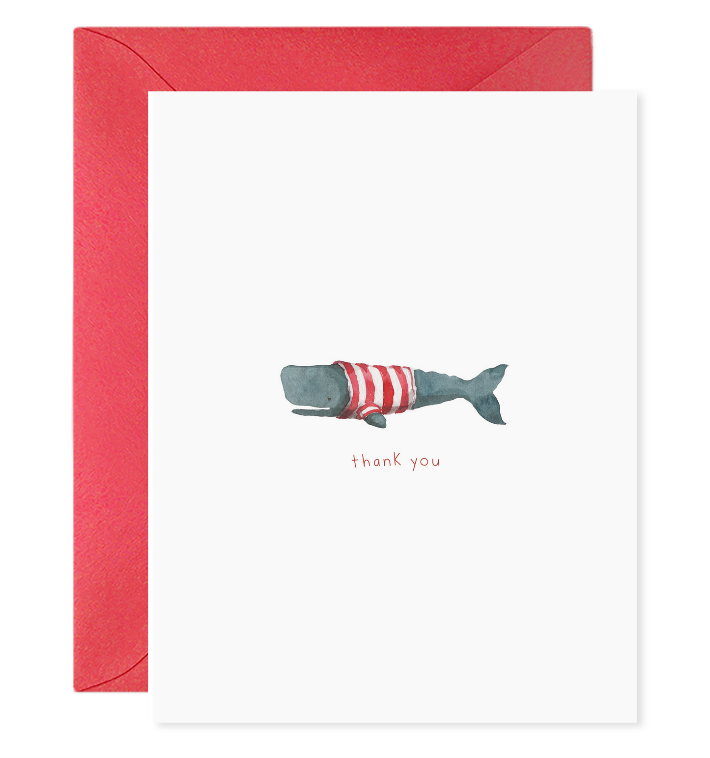Whale Thanks Boxed Card Set
