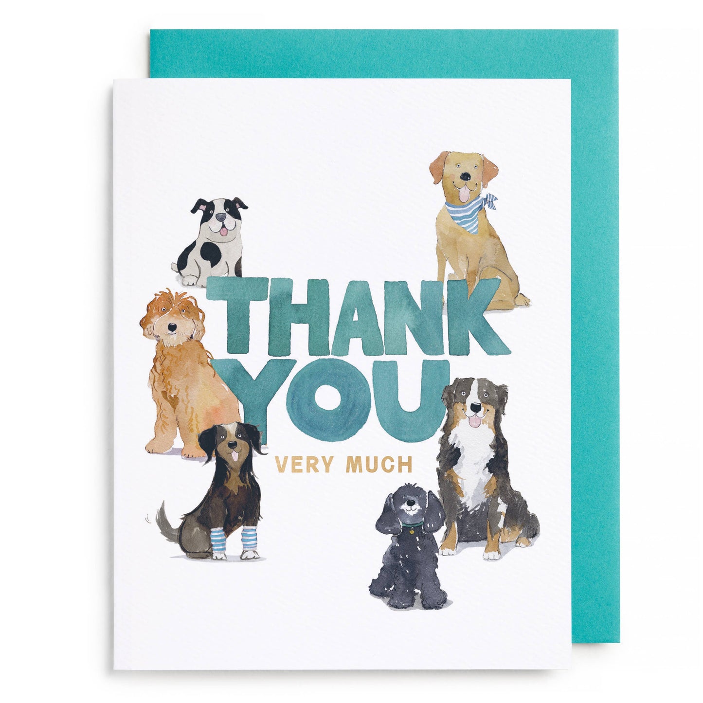 Doggy Thank You Boxed Card Set