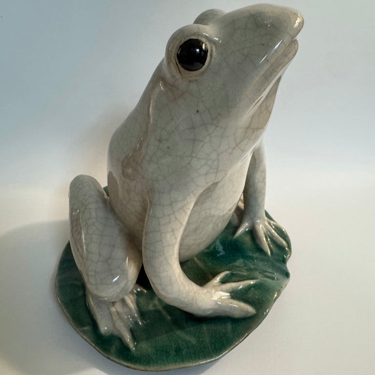 White Crackle Frog