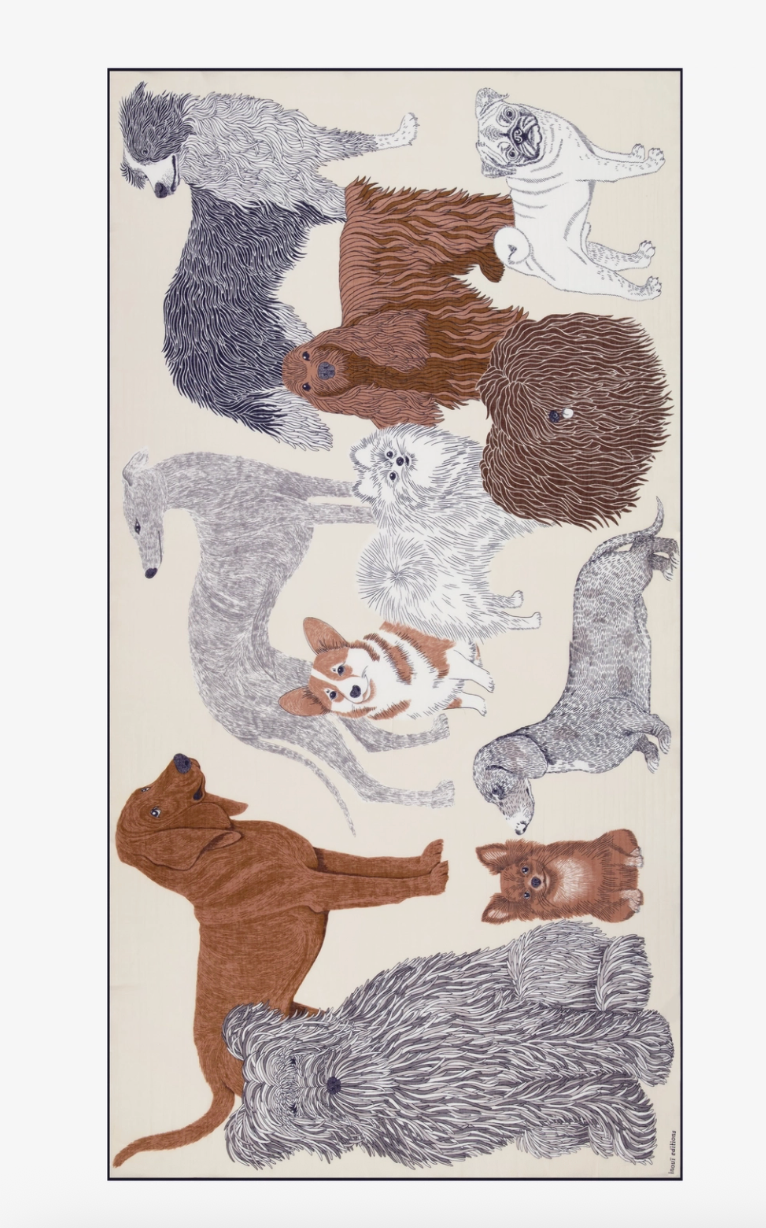 Toutou Cotton Scarf in White