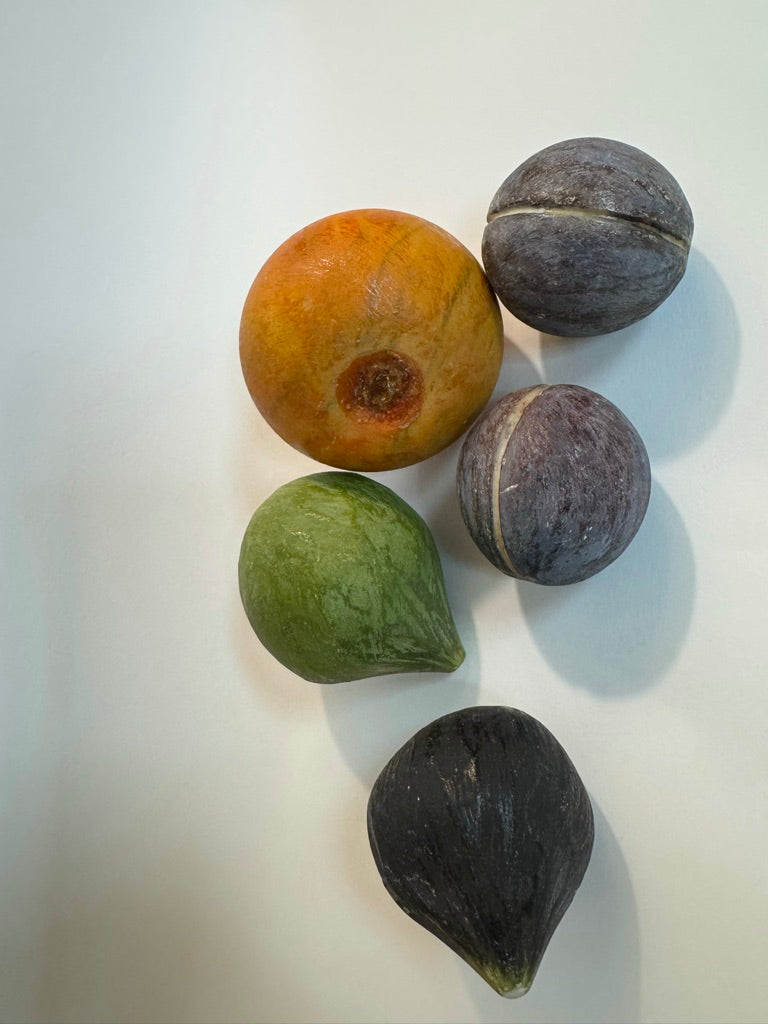 Antique Italian Fruit