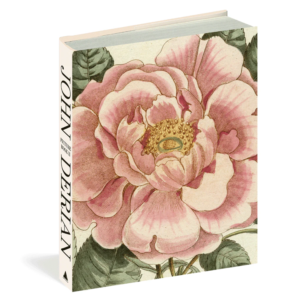 Picture Book II John Derian