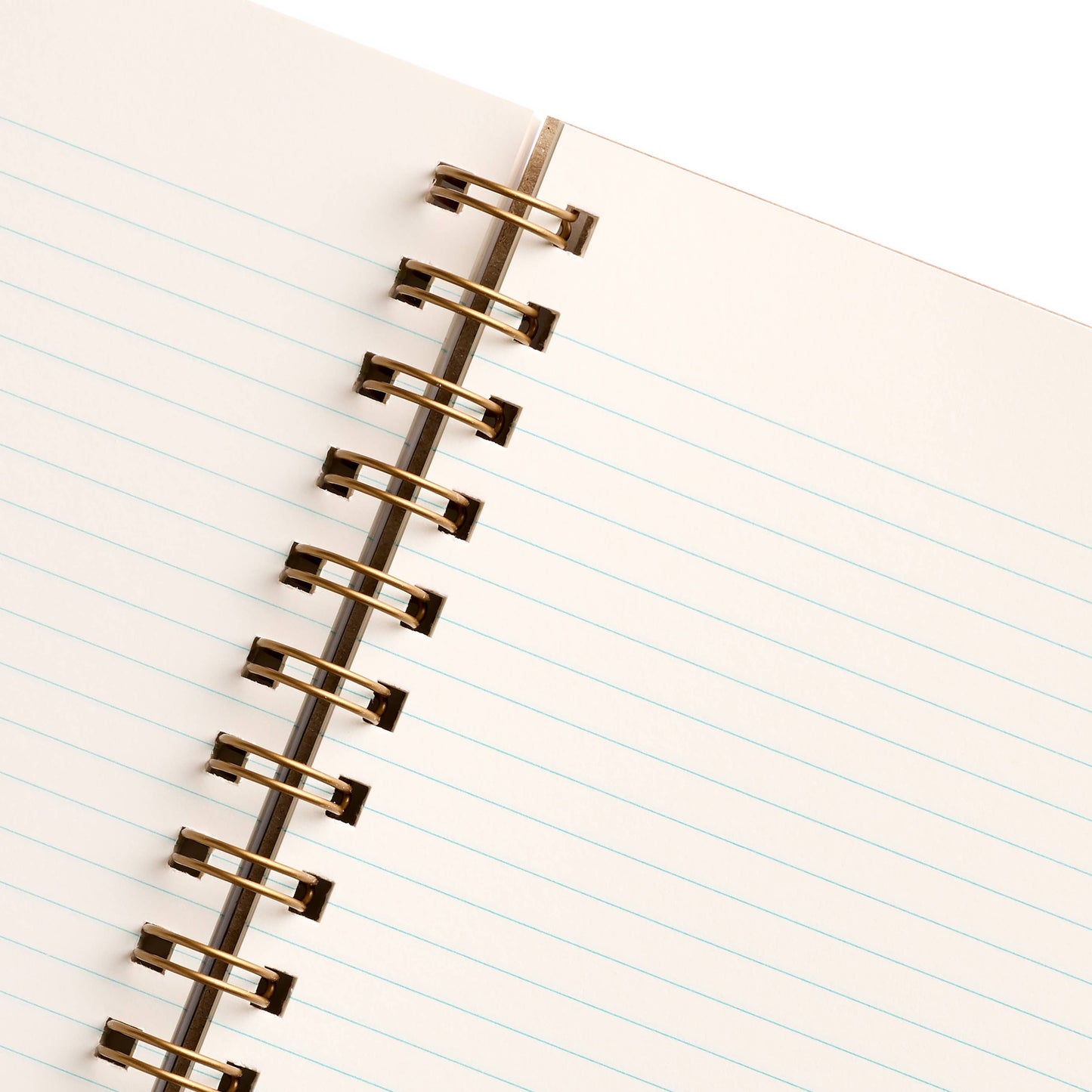 Orange Grove Notebook Journal