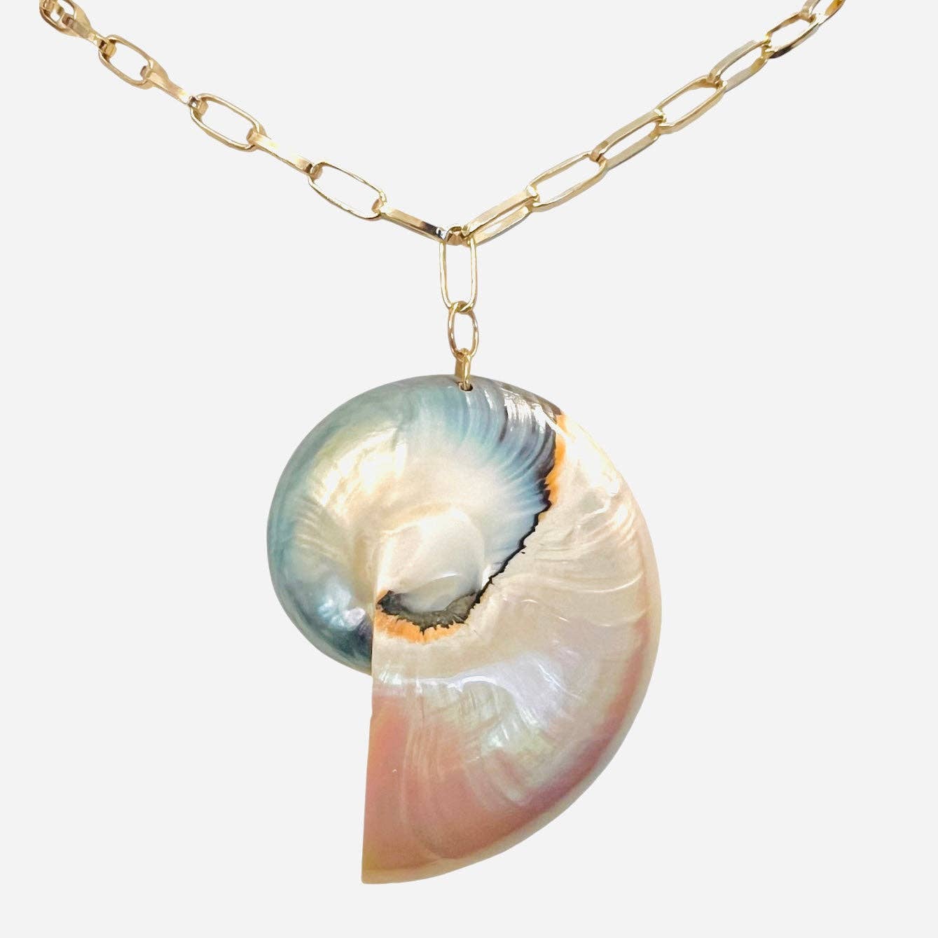 Nautilus Statement Shell Pendant Necklace