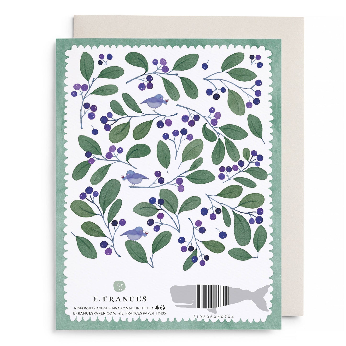 Chirps and Cheers Boxed Card Set