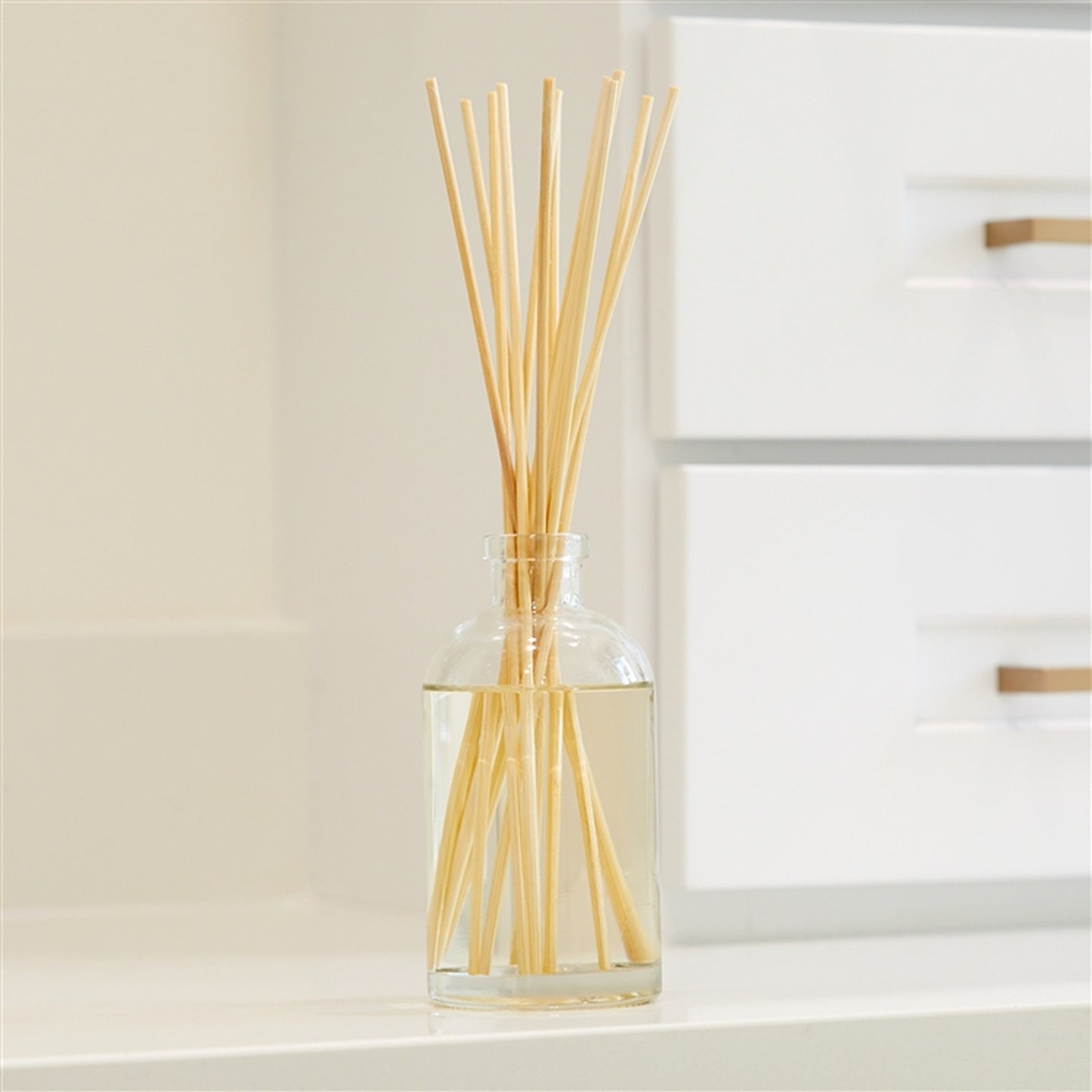 Peony Blush Diffuser 4oz Ctn. 6